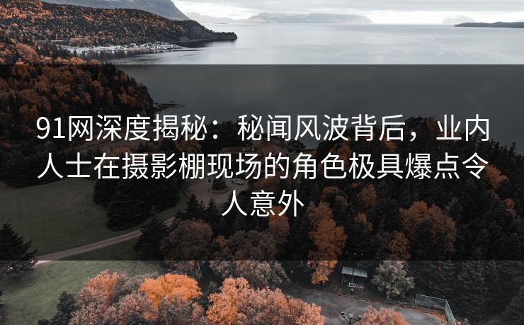 91网深度揭秘：秘闻风波背后，业内人士在摄影棚现场的角色极具爆点令人意外