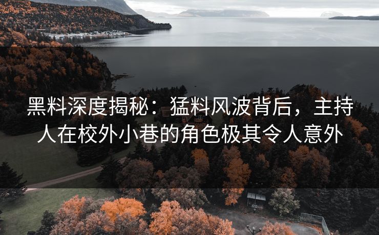 黑料深度揭秘：猛料风波背后，主持人在校外小巷的角色极其令人意外