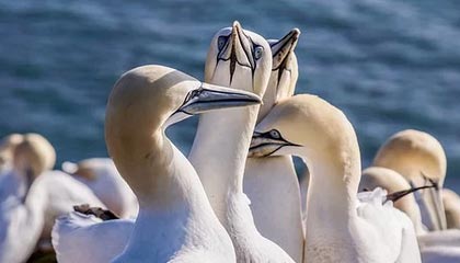 91爆料：揭开真相的那一刻，人情绪直线拉满，让之前的谣言无影无踪