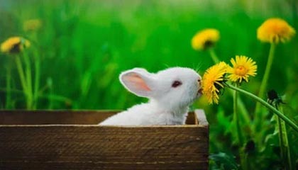 别被“新官方入口”四个字骗了｜糖心tv官网…别再被搜索结果带跑