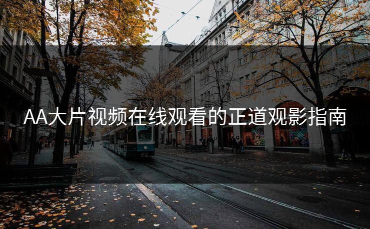 AA大片视频在线观看的正道观影指南