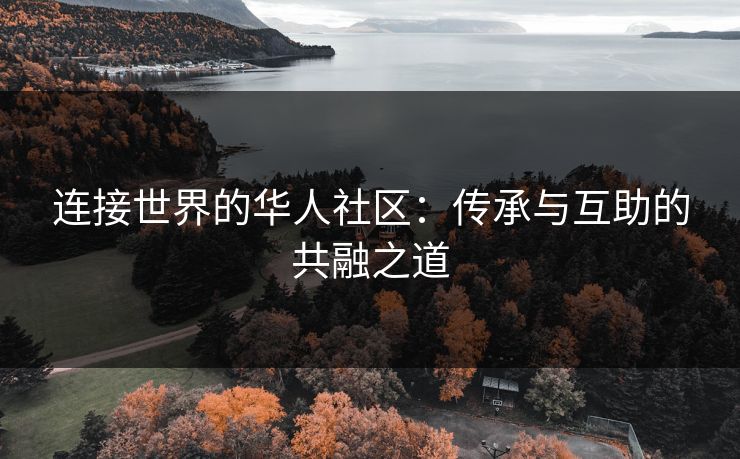 连接世界的华人社区：传承与互助的共融之道