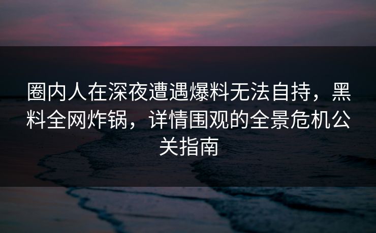 圈内人在深夜遭遇爆料无法自持，黑料全网炸锅，详情围观的全景危机公关指南