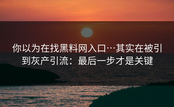 你以为在找黑料网入口…其实在被引到灰产引流:最后一步才是关键